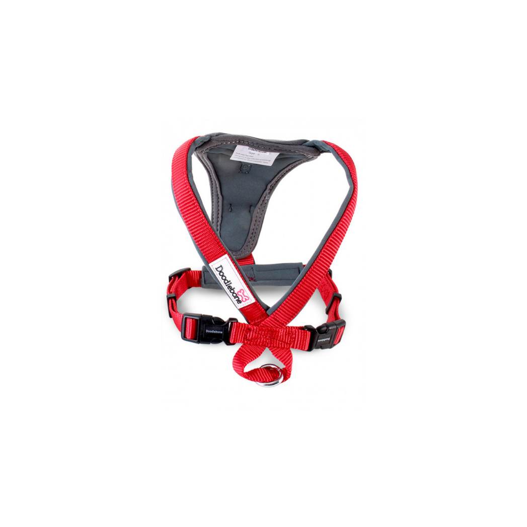 Doodlebone x 2025 over harness