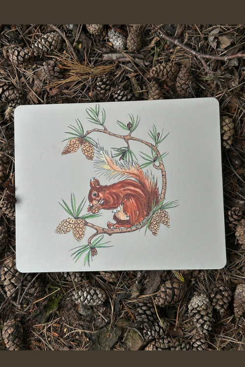 An image of the Vanessa Bathgate Red Squirrel Placemat in Beige.