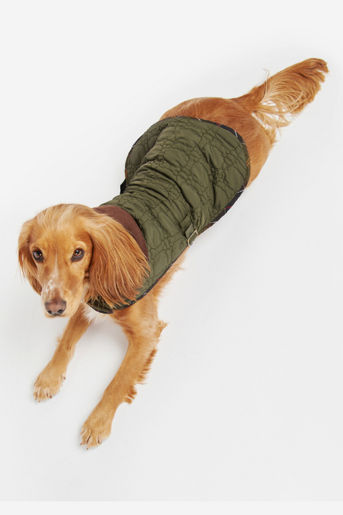 An image of the Barbour Dog Bone Quilted Coat in Dark Olive.