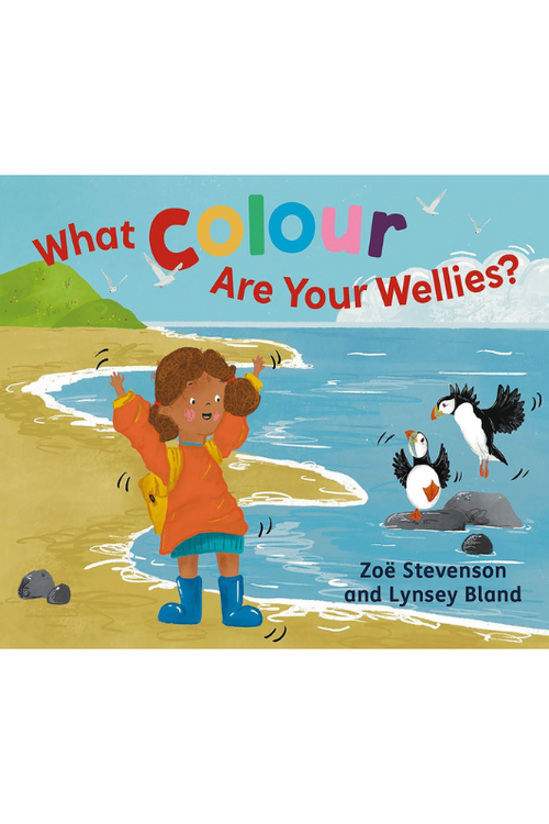 An image of the book What Colour Are Your Wellies? by Zoe Stevenson and Lynsey Bland.