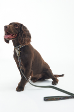 An image of the Barbour Reflective Tartan Comfort Dog Lead in Classic Tartan.