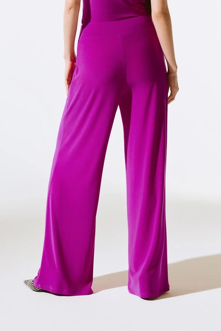 An image of a model wearing the Joseph Ribkoff Wide Leg Pant in Empress.