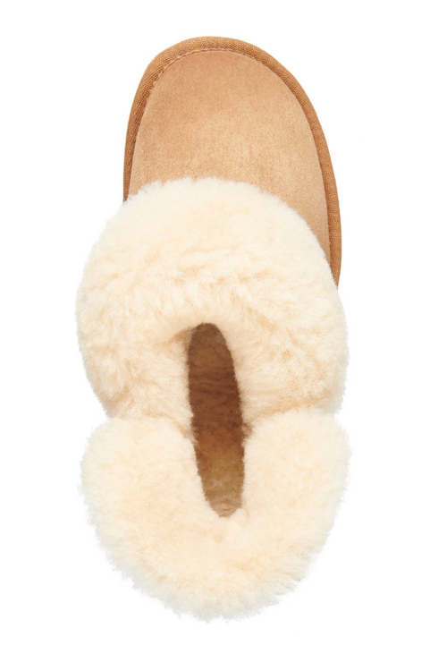 An image of the EMU Australia Platinum Mintaro Slippers in Chesnut.