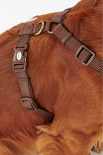 An image of the Barbour Travel And Exercise Harness in Classic Tartan.