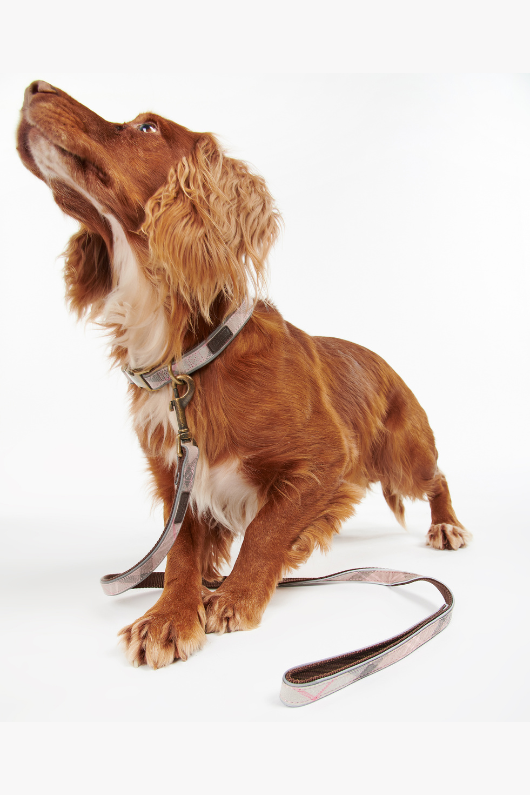 An image of a dog wearing the Barbour Reflective Tartan Dog Lead in the colour Taupe/Pink Tartan.