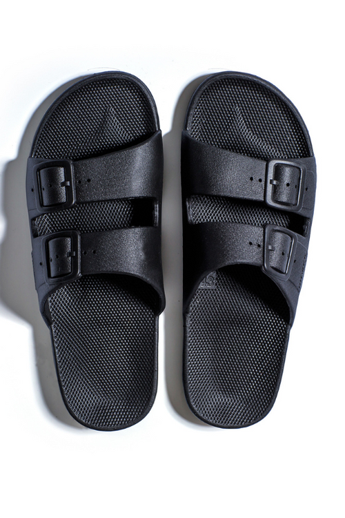 An image of the Freedom Moses Basic Slides