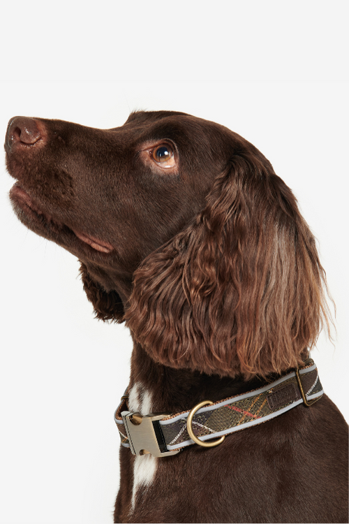 An image of the Barbour Reflective Tartan Dog Collar in Classic Tartan.