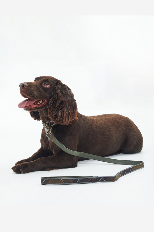 An image of the Barbour Reflective Tartan Comfort Dog Lead in Classic Tartan.