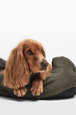 An image of a dog in the Barbour Quilted Dog Bed 30 inches in the colour Olive.