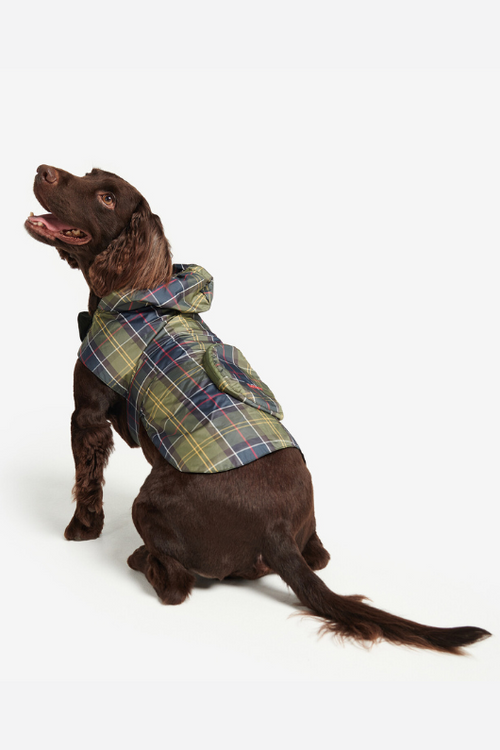 An image of a dog wearing the Barbour Packable Tartan Dog Coat in the colour Classic Tartan.