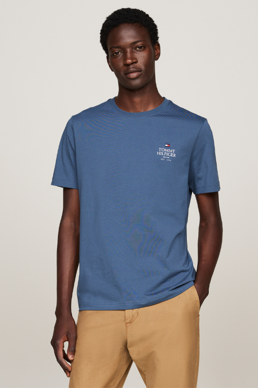 An image of the Tommy Hilfiger Logo Crew Neck Stack T-Shirt in Aegean Sea.