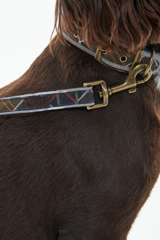 An image of the Barbour Reflective Tartan Comfort Dog Lead in Classic Tartan.