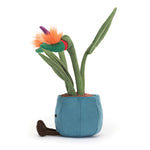 An image of the Jellycat Jellycat Amusables Bird of Paradise
