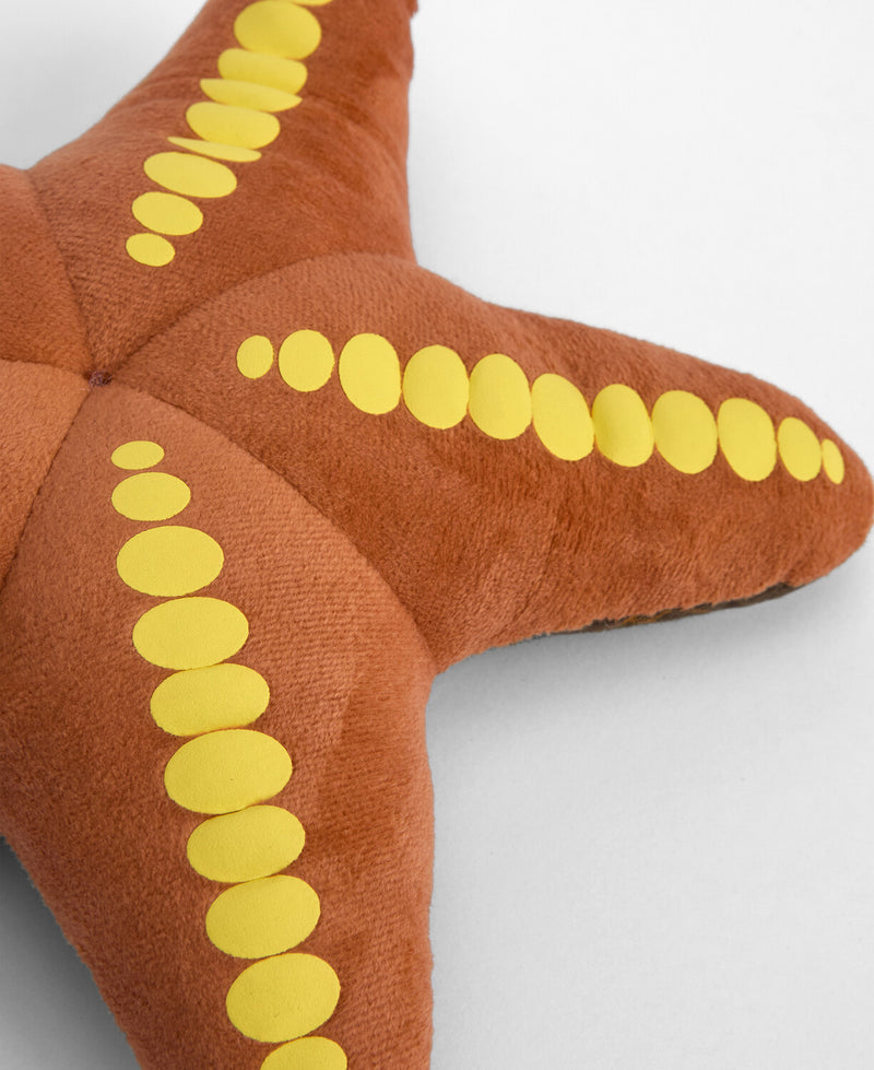 An image of the Barbour Starfish Dog Toy