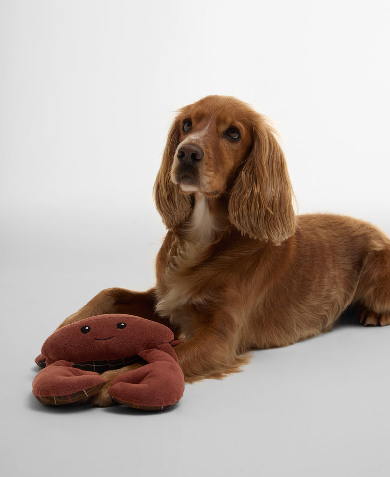 An image of the Barbour Crab Dog Toy