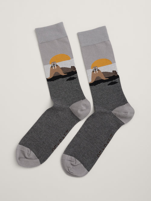 An image of the Seasalt Men's Arty Socks in Zoze Point Seal Grey.