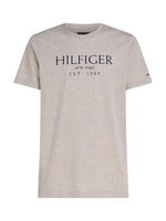 An image of the Tommy Hilfiger Big Hilfiger T-Shirt in Heathered Pebble.