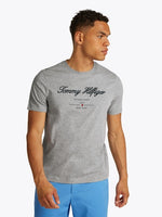 An image of the Tommy Hilfiger Script Logo Tee