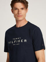 An image of the Tommy Hilfiger Big Hilfiger Tee in Desert Sky.