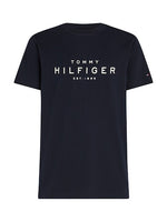 An image of the Tommy Hilfiger Big Hilfiger Tee in Desert Sky.