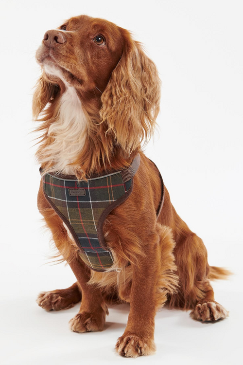 An image of the Barbour Travel And Exercise Harness in Classic Tartan.